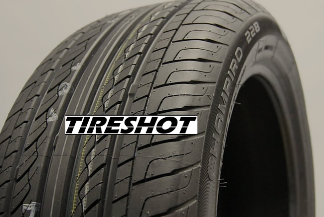 Tire GT Radial Champiro-228